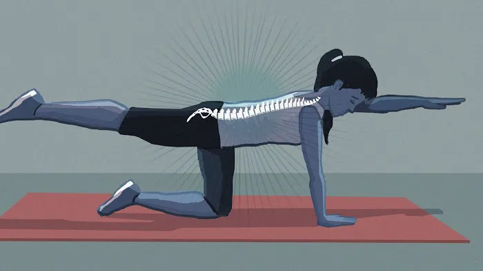 Cardona Chiropractic Clinic Picture 2