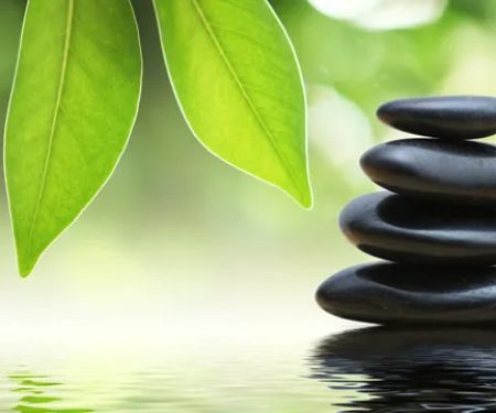 Carrier Chiropractic