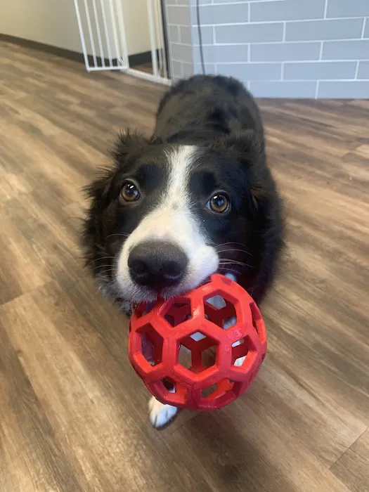 Spellmeyer Chiropractic Picture 3