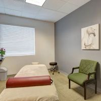 Oregon Spine and Disc Chiropractic ico
