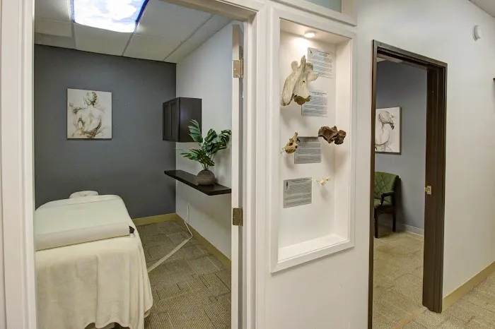 Oregon Spine and Disc Chiropractic Picture 5