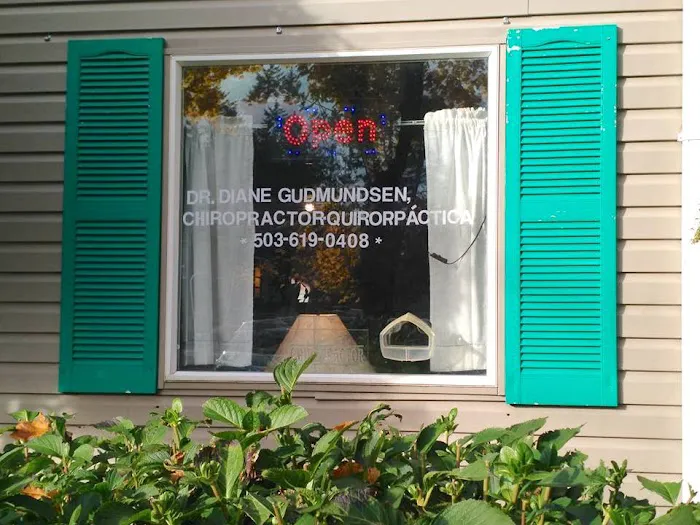 Diane S. Gudmundsen, DC Picture 7