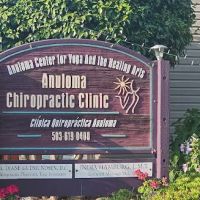 Anuloma Chiropractic ico