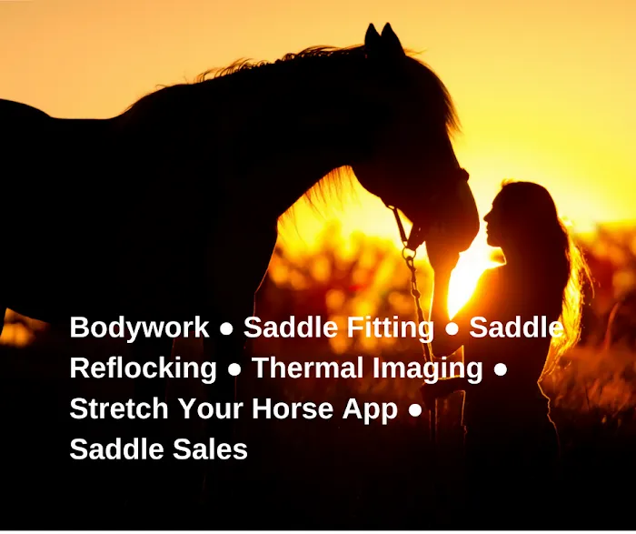 Holistic Horse Bodyworks Picture 1