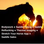 Holistic Horse Bodyworks