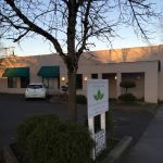 Active Chiropractic & Rehabilitation