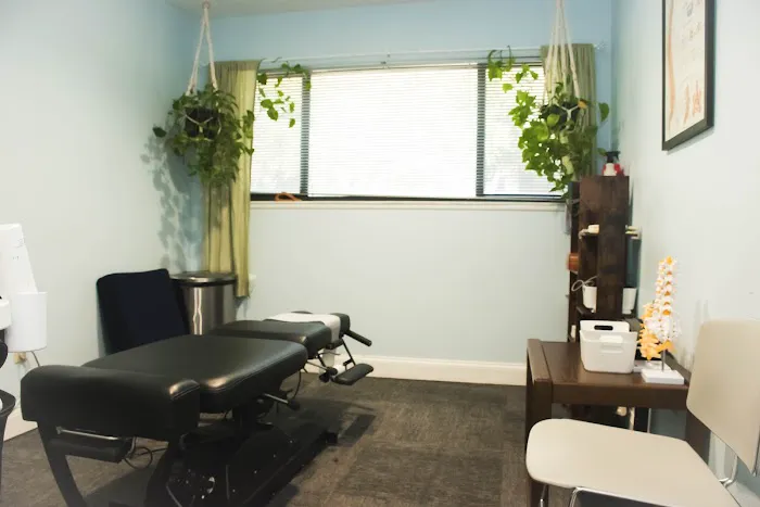 Chanatry Chiropractic Picture 4