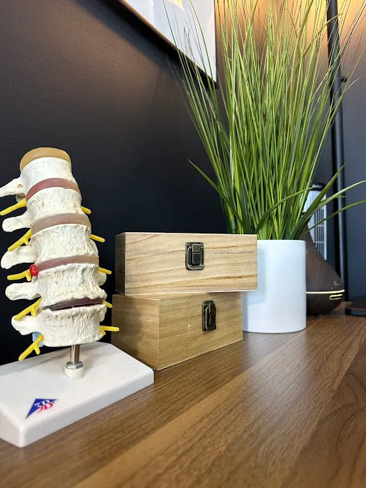 Premier Chiropractic and Performance Picture 9