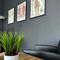 Premier Chiropractic and Performance ico
