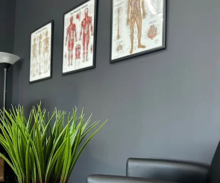 Premier Chiropractic and Performance