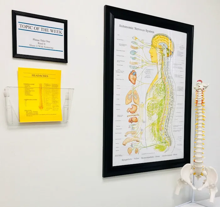 Knox Chiropractic & Wellness Picture 9