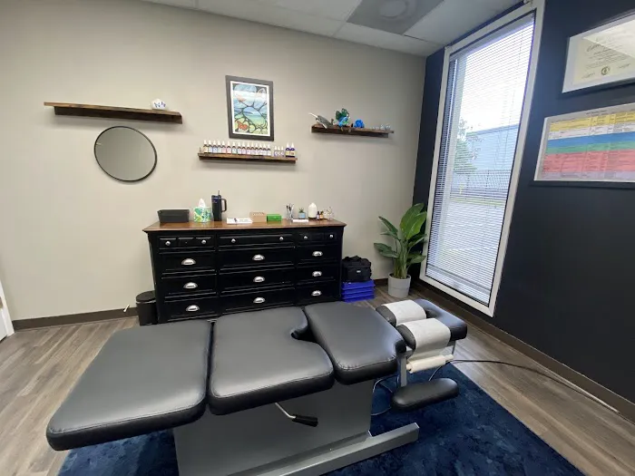 Antonini Chiropractic Dr. Sophia Antonini Picture 2