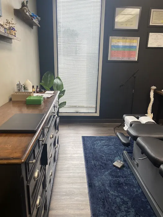 Antonini Chiropractic Dr. Sophia Antonini Picture 4