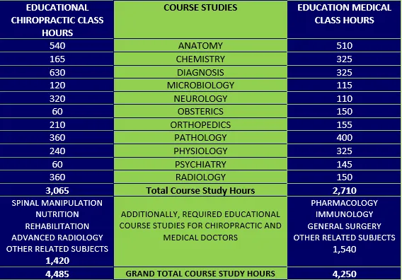 Revive Chiropractic & Wellness Picture 10