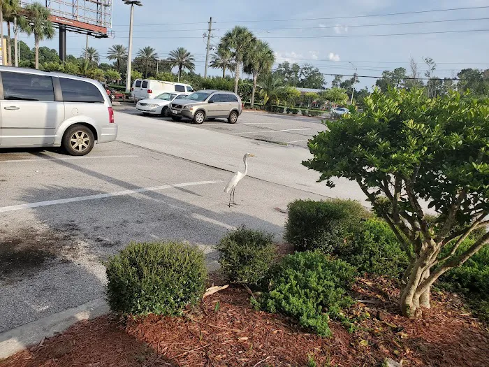 Beach Boulevard Chiropractic Picture 7