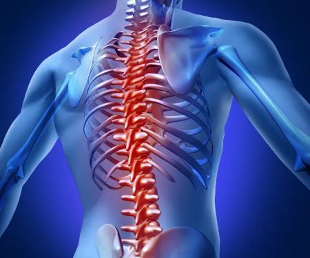 South Mandarin Chiropractic
