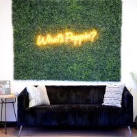 Full Swing Healthcare®️ Injury & Sports Care - Jacksonville ico