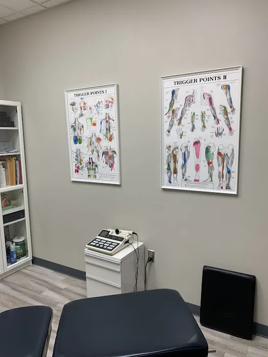 Live Oak Chiropractic Picture 5