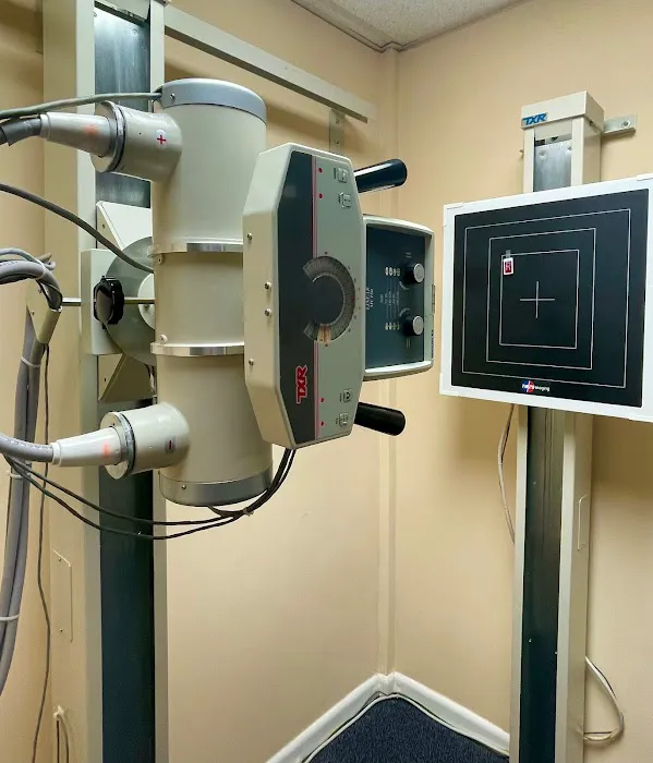 Meridian Integrative Wellness - Jacksonville Picture 7