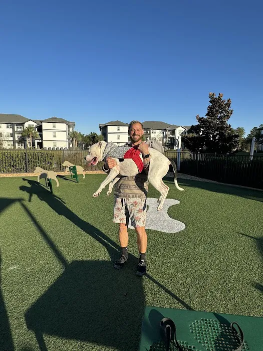 D'Cruz Chiropractic Center Picture 10