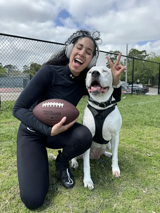 D'Cruz Chiropractic Center Picture 8