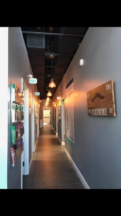 Revolution Chiropractic Picture 5