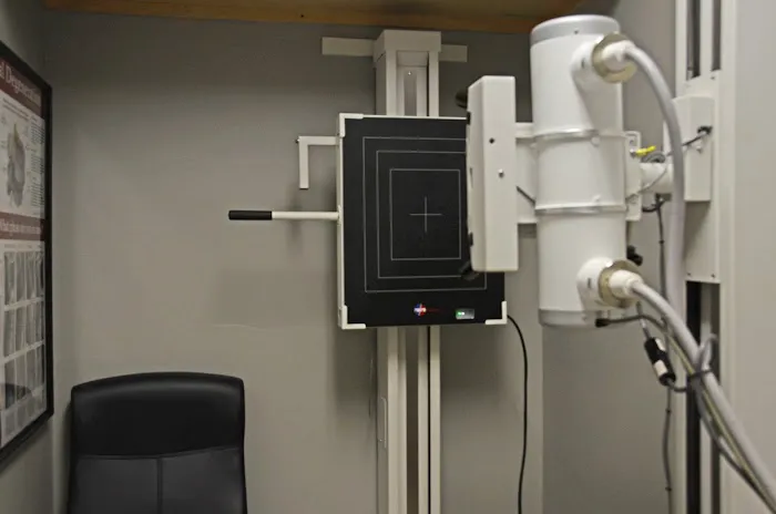 Back in Motion Injury and Wellness Center Picture 2