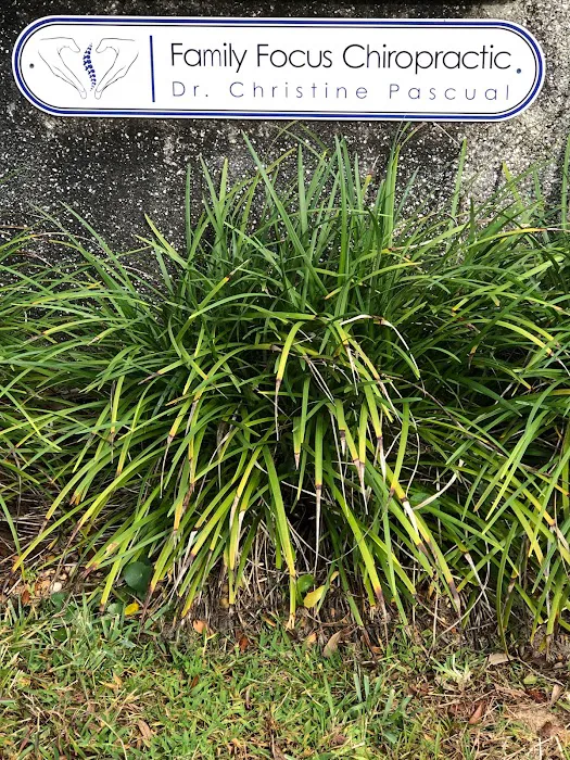 Family Focus Chiropractic LLC Picture 4