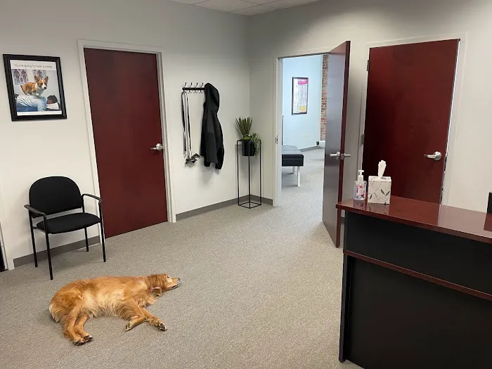 Shifrin Family Chiropractic Picture 1