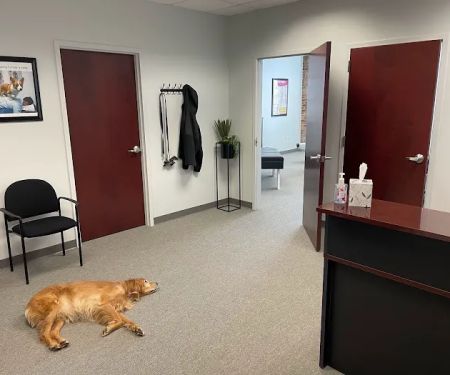 Shifrin Family Chiropractic