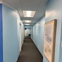 Blue Care Chiropractic (Clinica de Accidentes Automovilisticos) ico