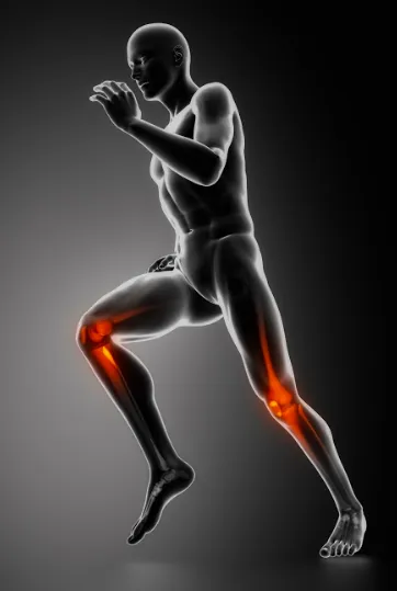 Evan H. Chung Chiropractic Picture 7