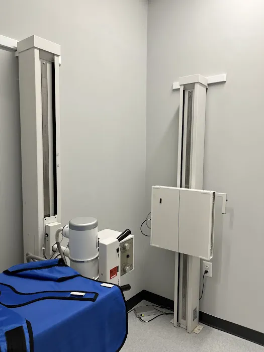 WOW Chiropractic & Acupuncture of Hanover Picture 4