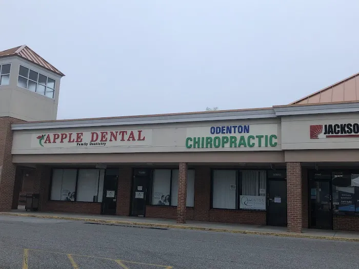 Allegiance Chiropractic Picture 2