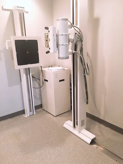 WOW Chiropractic & Acupuncture of Timonium Picture 6