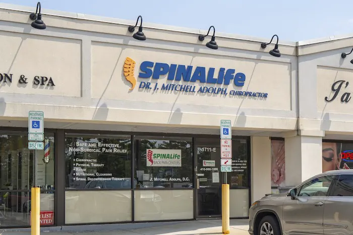 SPINALife Picture 10