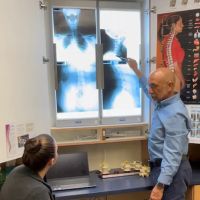 Shefts Chiropractic ico