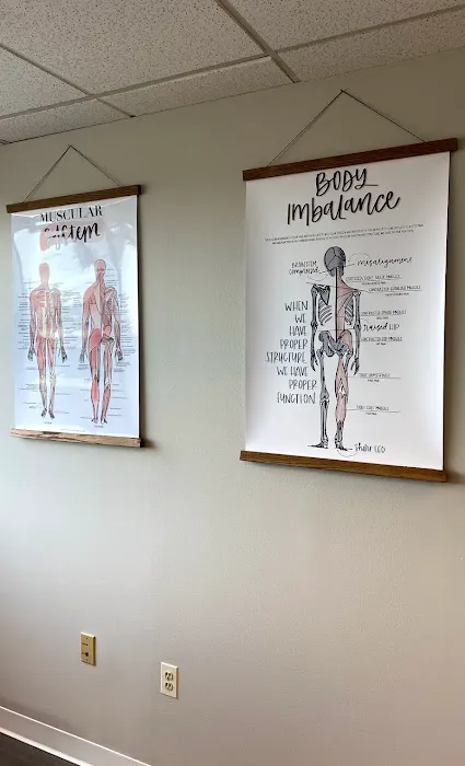 Palmercare Chiropractic Columbia Picture 5