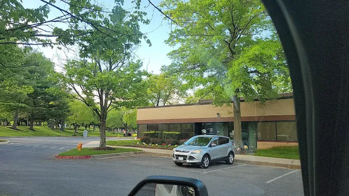 Living Wellness Chiropractic of Columbia Picture 8