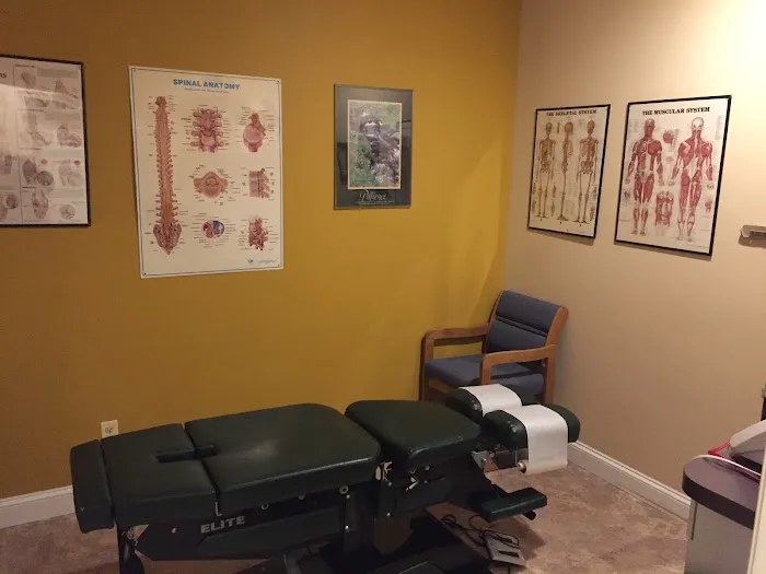 DeMaio Family Chiropractic & Physical Therapy Picture 6