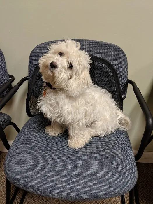 Achieve Wellness Chiropractic and Nutrition Center Picture 3