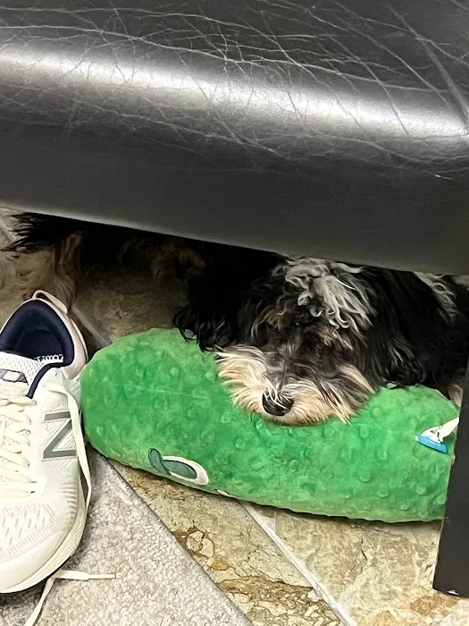 Achieve Wellness Chiropractic and Nutrition Center Picture 8