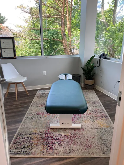 My Chiropractor - Columbia, MD Picture 4