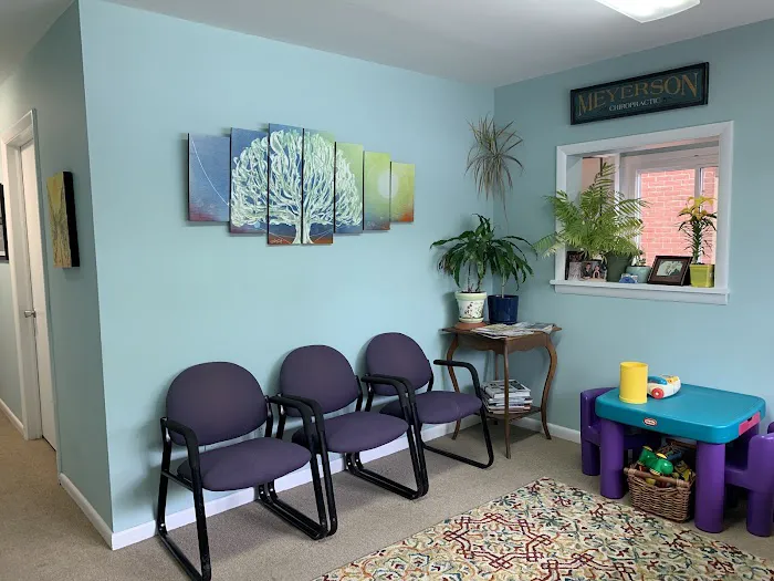 Meyerson Chiropractic Center Picture 5