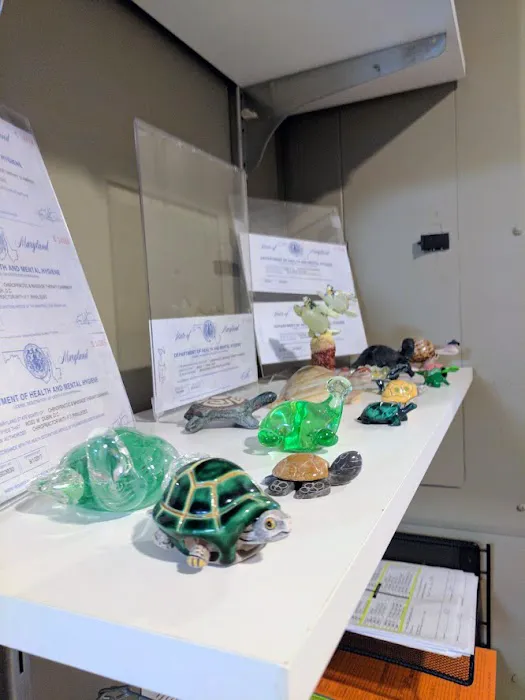 Morrison Chiropractic Picture 7