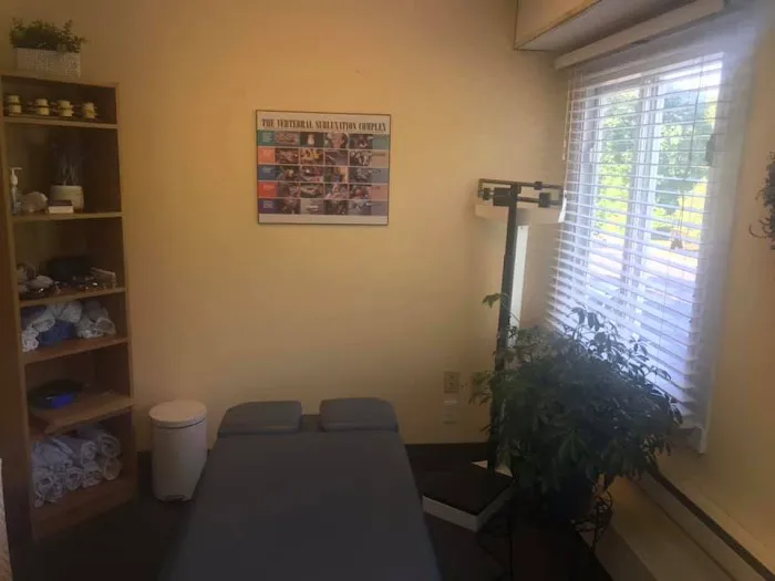 Total Wellness Chiropractic Center Picture 7