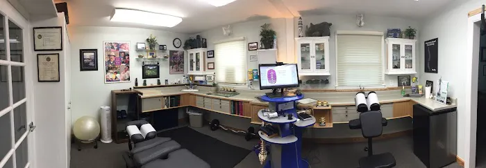 Life Enhancement Family Chiropractic Picture 2