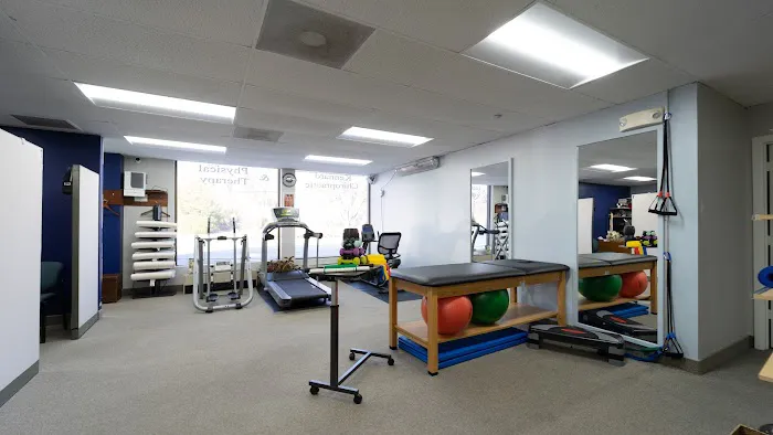 Peak Potential Chiropractic and Physical Therapy Picture 2