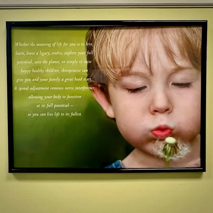 Severna Park Family Chiropractic Picture 9