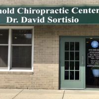 Arnold Chiropractic Center: David M. Sortisio, DC ico